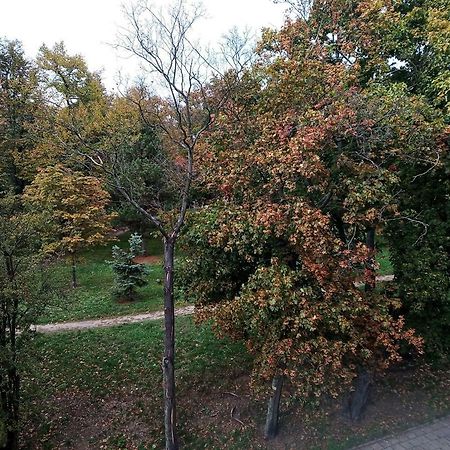 Central Park Apartment Zielona Góra Zewnętrze zdjęcie